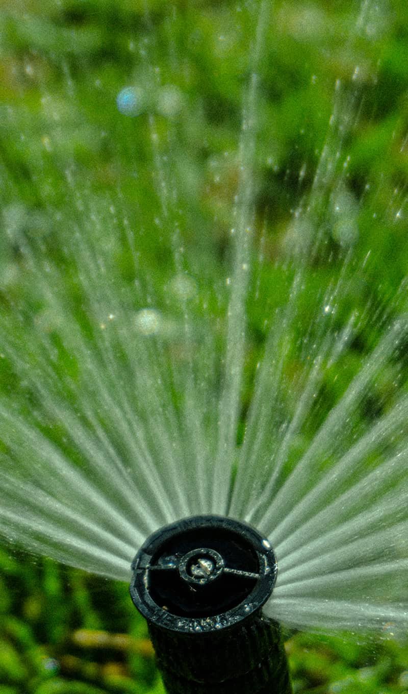 landscaping-10b